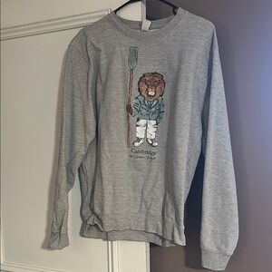 Gray Lion Graphic Men's Sweater